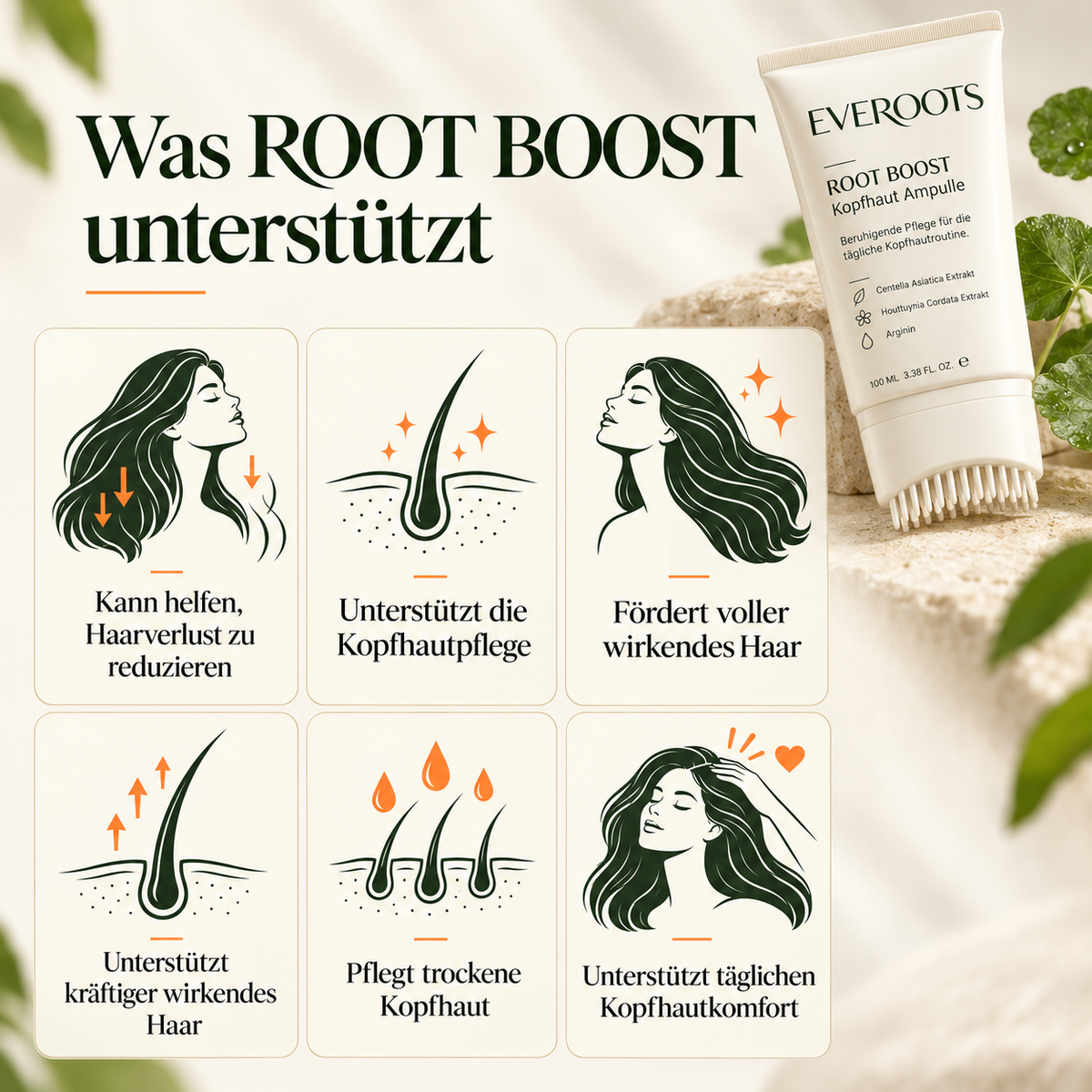 EVEROOTS ROOT BOOST