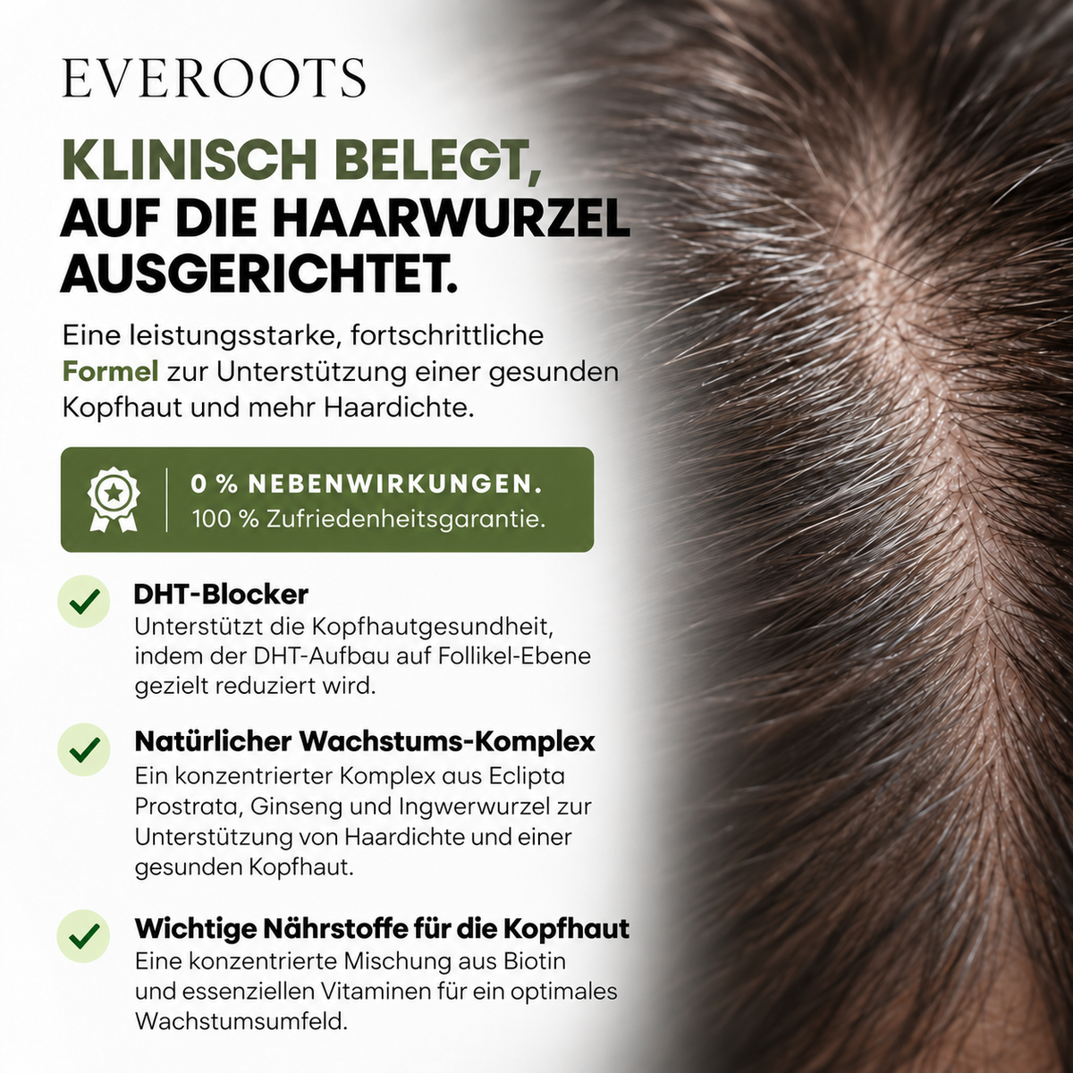EVEROOTS FOLLICORE